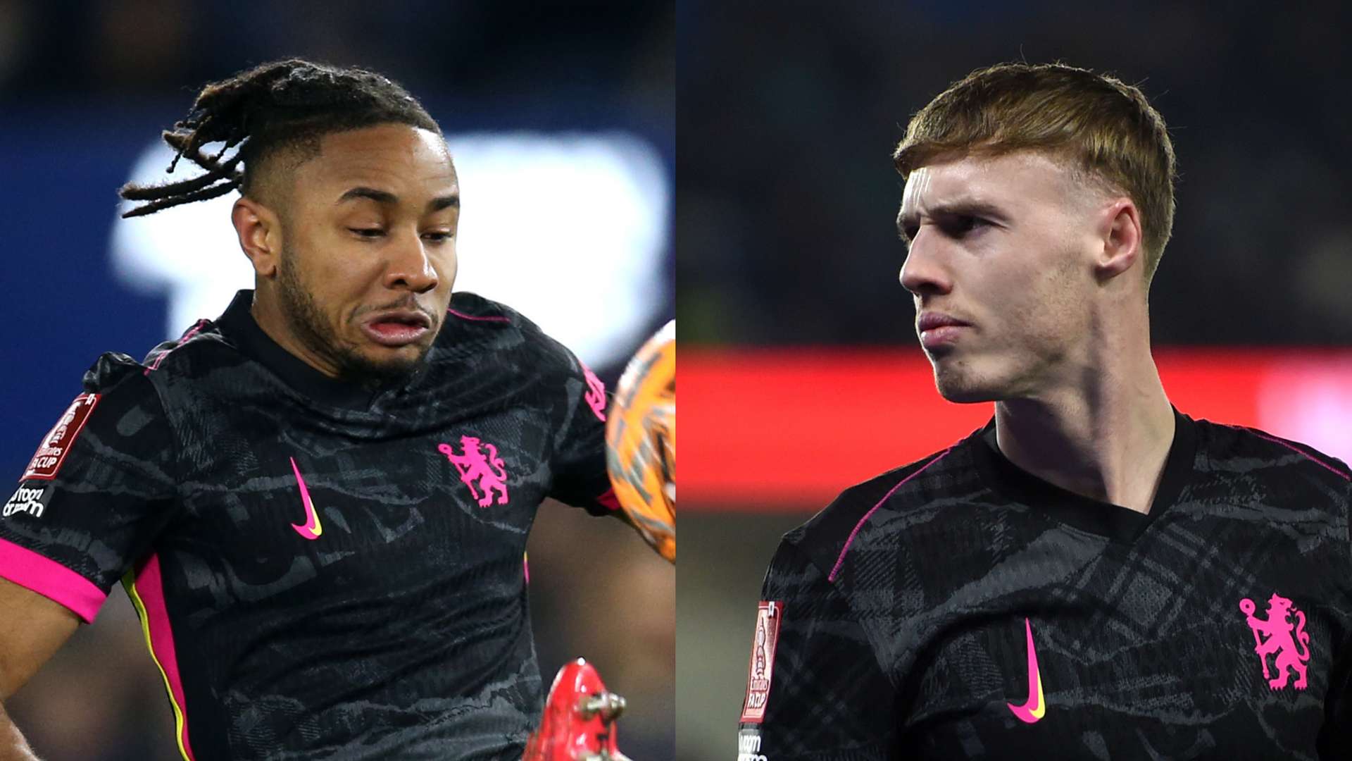 的战术胆识 的战术胆识